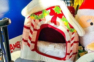 petco-clearance-cat-bed