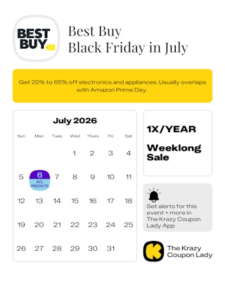 Best Buy Black Friday date