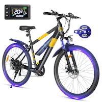 Adult Electric Bike