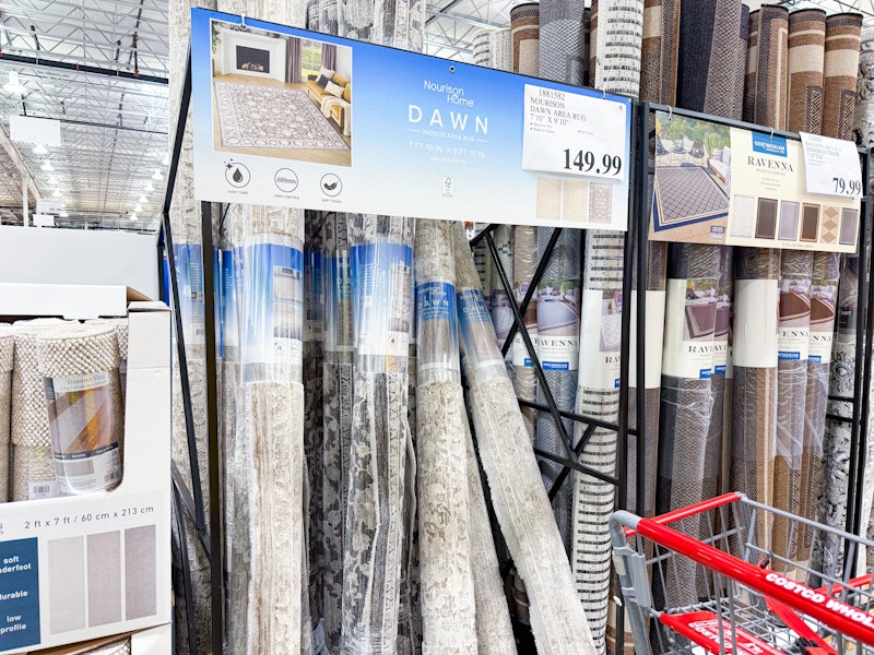 costco nourison dawn rug clearance 1
