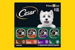 Cesar 24-Pack Wet Dog Food, as Low as $16.73 on Amazon card image