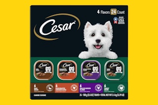 cesar wet dog food-amazon