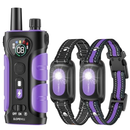 Dog Training Collar