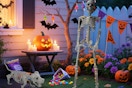 amazon Halloween Human & Dog Skeleton