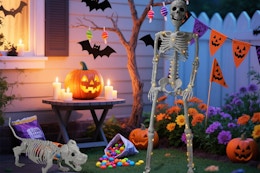 amazon Halloween Human & Dog Skeleton