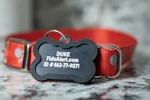 FidoAlert Pet ID Tag