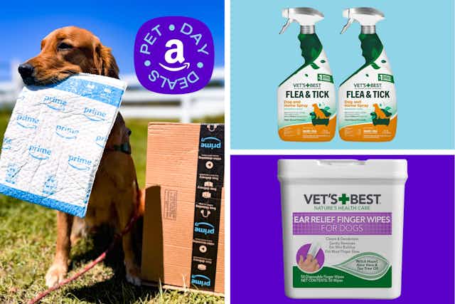Vet's Best Dog Deals: $11 Ear Wipes and $10 Flea Spray for Amazon Pet Day card image