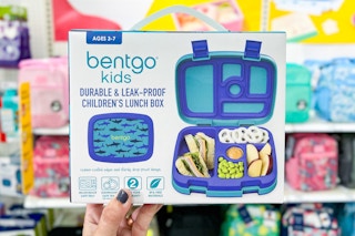 hand holding a bentgo printed lunch box