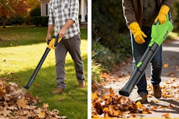 Cordless Leaf Blower