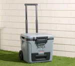 Ninja FrostVault Cooler