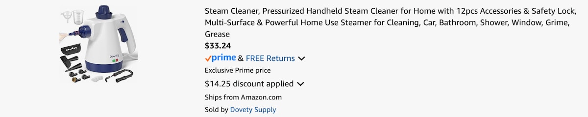 Amazon Handheld Steam Cleaner 2025