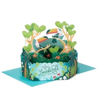 Hallmark Valentine's Day Pop-Up Card