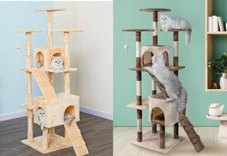 chewy-cat-tree-1