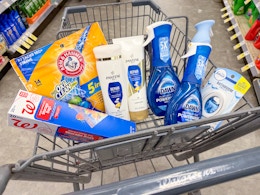 dawn arm & hammer pantene febreze walgreens bags in cart