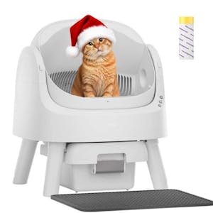 Self Cleaning Litter Box