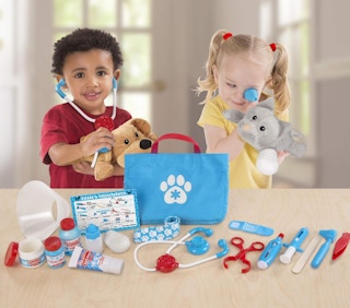 kids playing with a toy vet set
