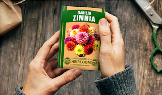 hands holding a pack of seeds