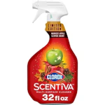 Clorox Multi-Surface Cleaner