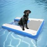 Dog Boat Ramp