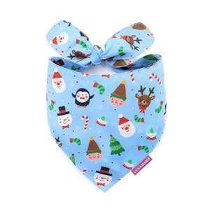 Pet Birthday Bandana