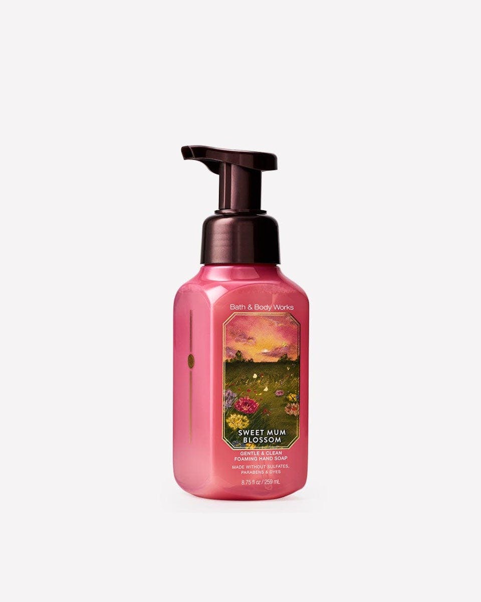 Bath & Body Works Foaming Hand Soap