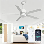 Ceiling Fan with Light
