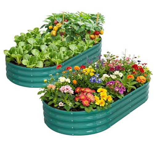 Raised Garden Bed 2-Pack
