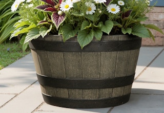 wine barrel planter