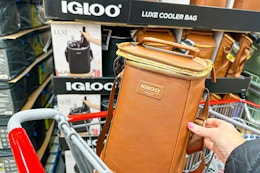 Igloo Insulated Beverage Tote, Available for $19.99 at Costco card image