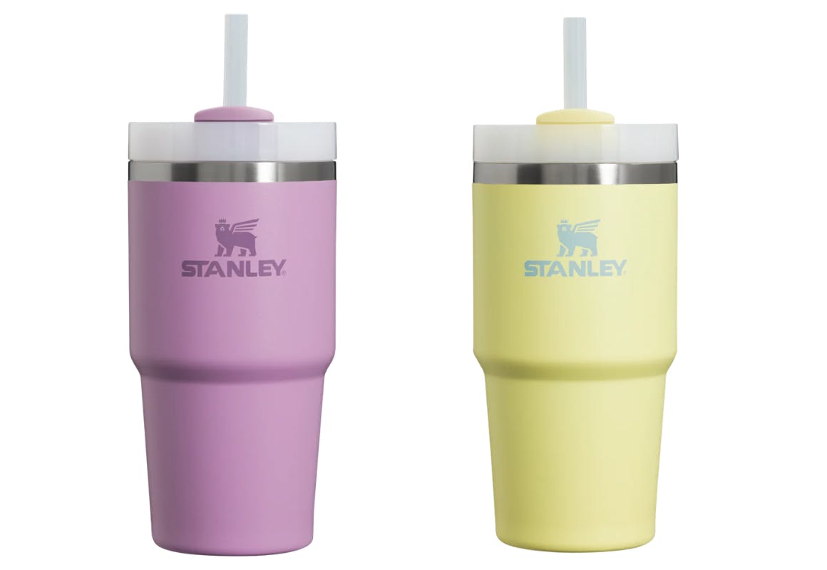Stanley Quencher FlowState Tumbler