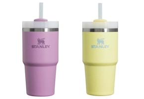Stanley Quencher FlowState Tumbler