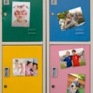 Five Walgreens photo magnets on fourn locker doors.