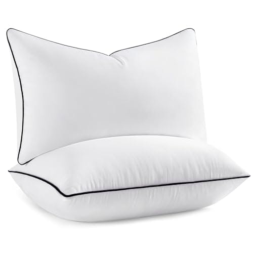 Pillow Inserts 2-Pack