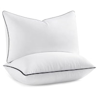 Pillow Inserts 2-Pack