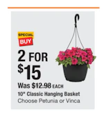 2 10-Inch Classic Hanging Baskets
