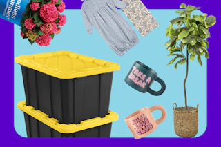 Sterilite storage totes, plants, Gerber baby set, coffee mugs