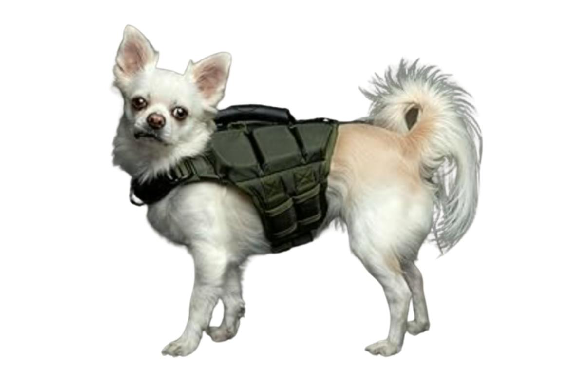 Noah & Paw Dog Life Jacket