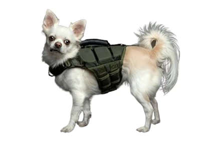 Noah & Paw Dog Life Jacket