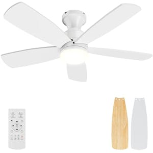 Ceiling Fan With Light