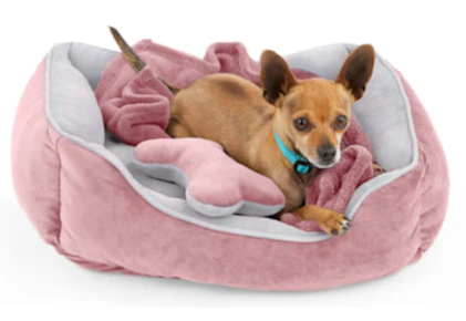 Dog Bed Bundle