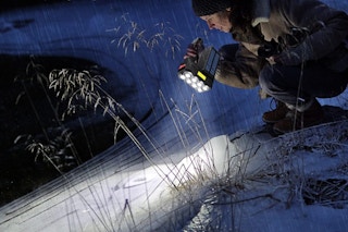 a person shining a flashlight on a road