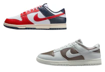 Nike Adult Dunk Low Shoes