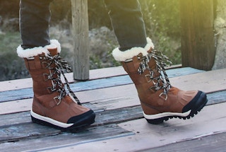 bearpawfeatured