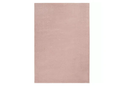 Nourison Area Rug