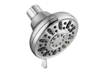Glacier Bay Showerhead