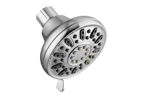 Glacier Bay Showerhead