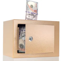 Metal Piggy Bank Safe