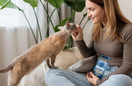 Blue Buffalo Bursts Cat Treats, as Low as $1.79 on Amazon card image