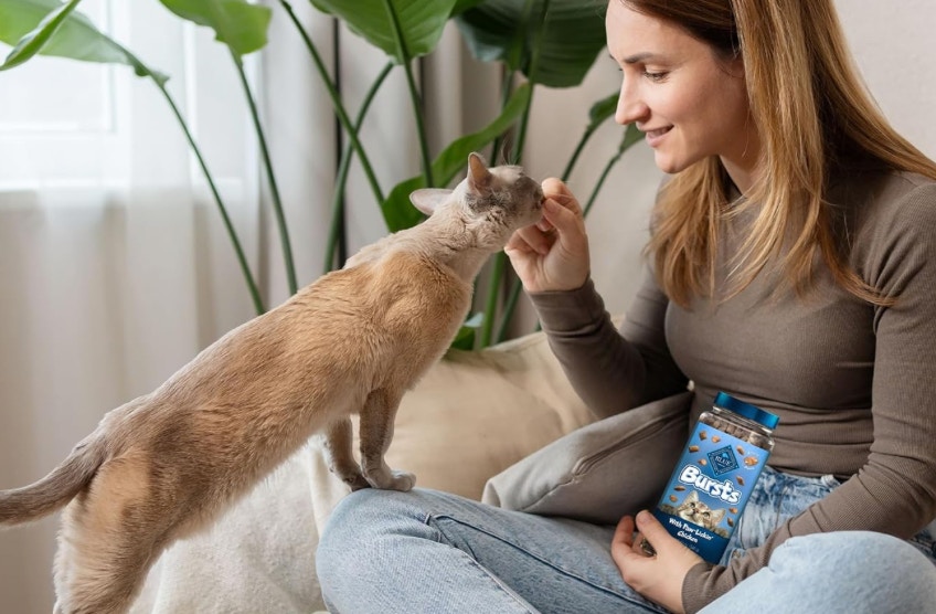 Amazon Blue Buffalo Bursts Cat Treats 2024