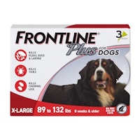 Frontline Flea and Tick Treatment